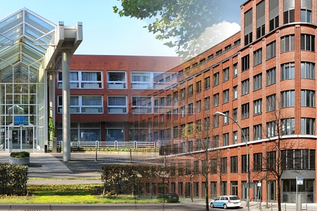 Friedrich-Ebert-Stiftung (FES)