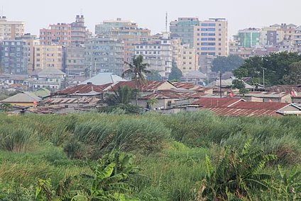 A cityscape showing a contrast between dense green vegetation in the foreground and a mix of low-rise buildings with corrugated metal roofs behind it. In the background, modern multi-story buildings rise, highlighting the socio-economic diversity and urban development within the area.