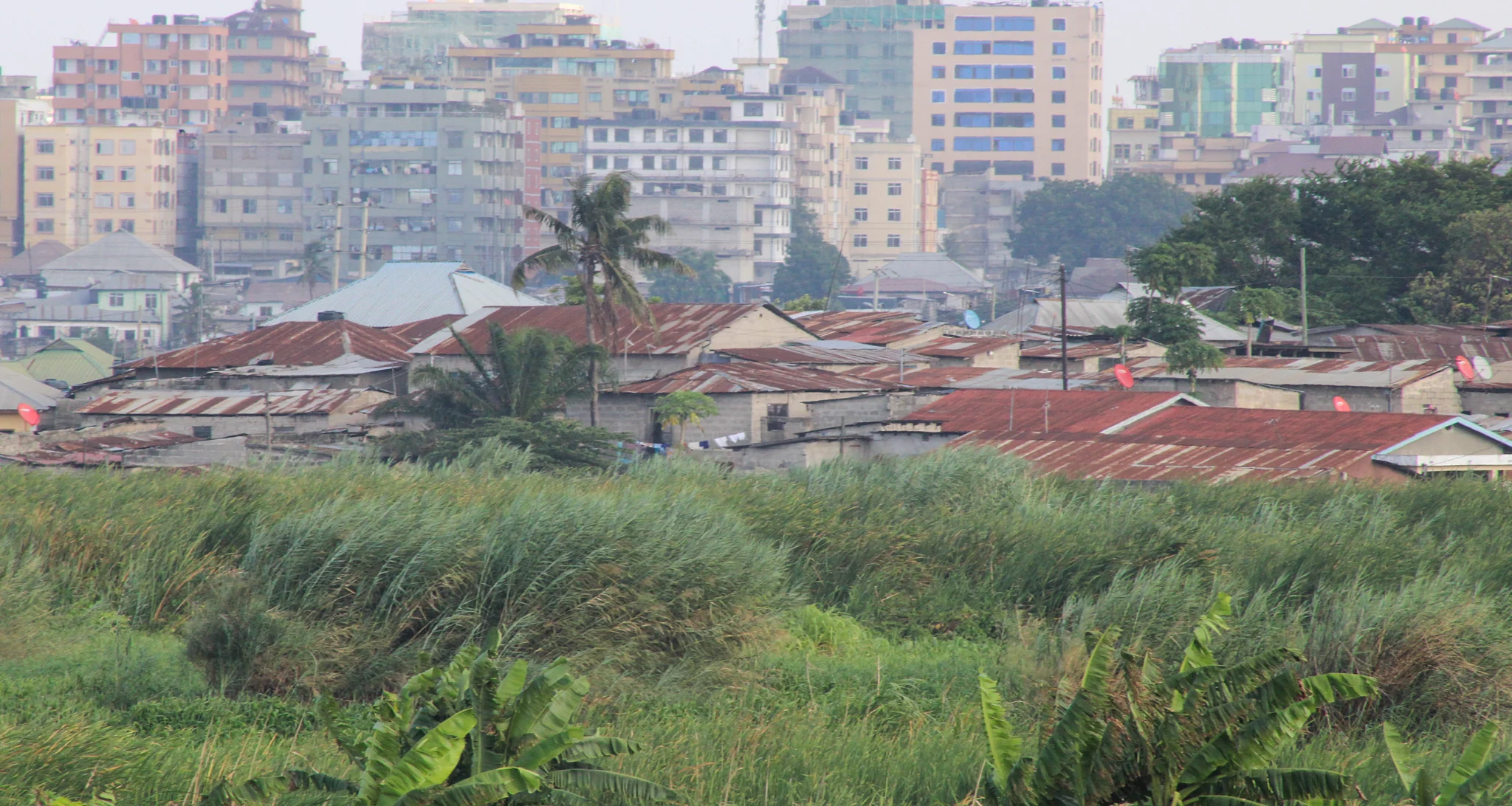 A cityscape showing a contrast between dense green vegetation in the foreground and a mix of low-rise buildings with corrugated metal roofs behind it. In the background, modern multi-story buildings rise, highlighting the socio-economic diversity and urban development within the area.