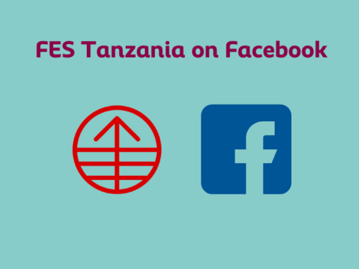 FES Tanzania on Facebook