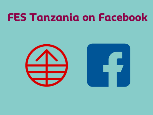 FES Tanzania on Facebook