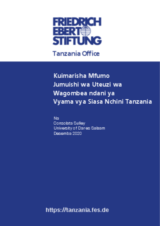Kuimarisha Mfumo Jumuishi wa Uteuzi wa Wagombea ndani ya Vyama vya Siasa Nchini Tanzania